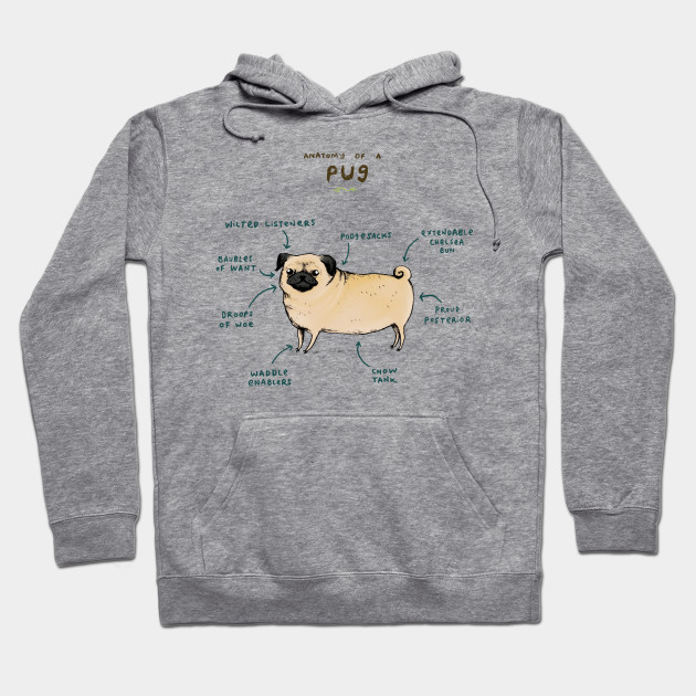 Anatomy of a Pug